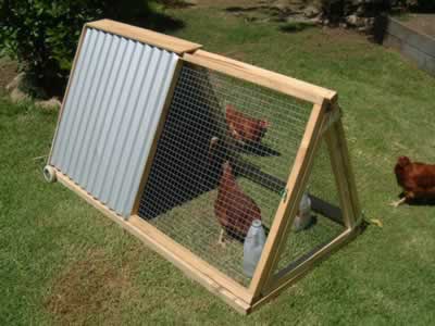 Facil dispensador de agua para perros  Pet chickens, Chickens backyard,  Dog house diy